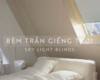 Động Cơ Rèm Khác